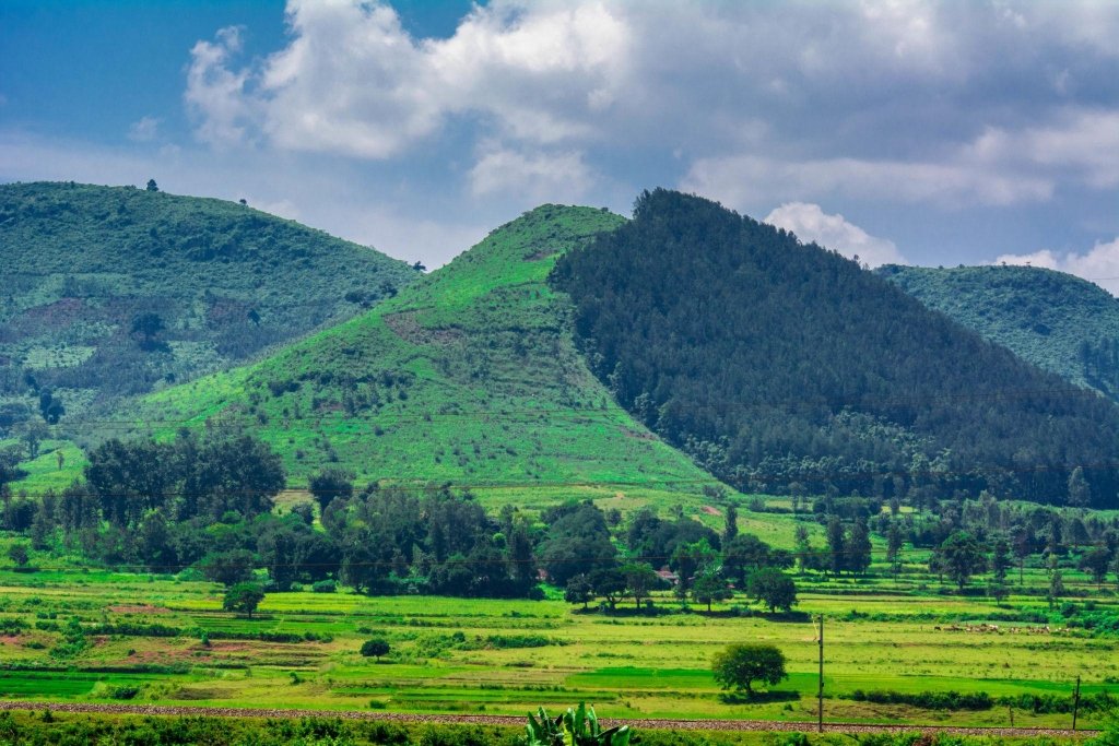 Andhra Pradesh