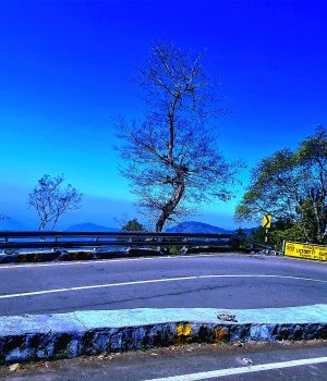 Place Image